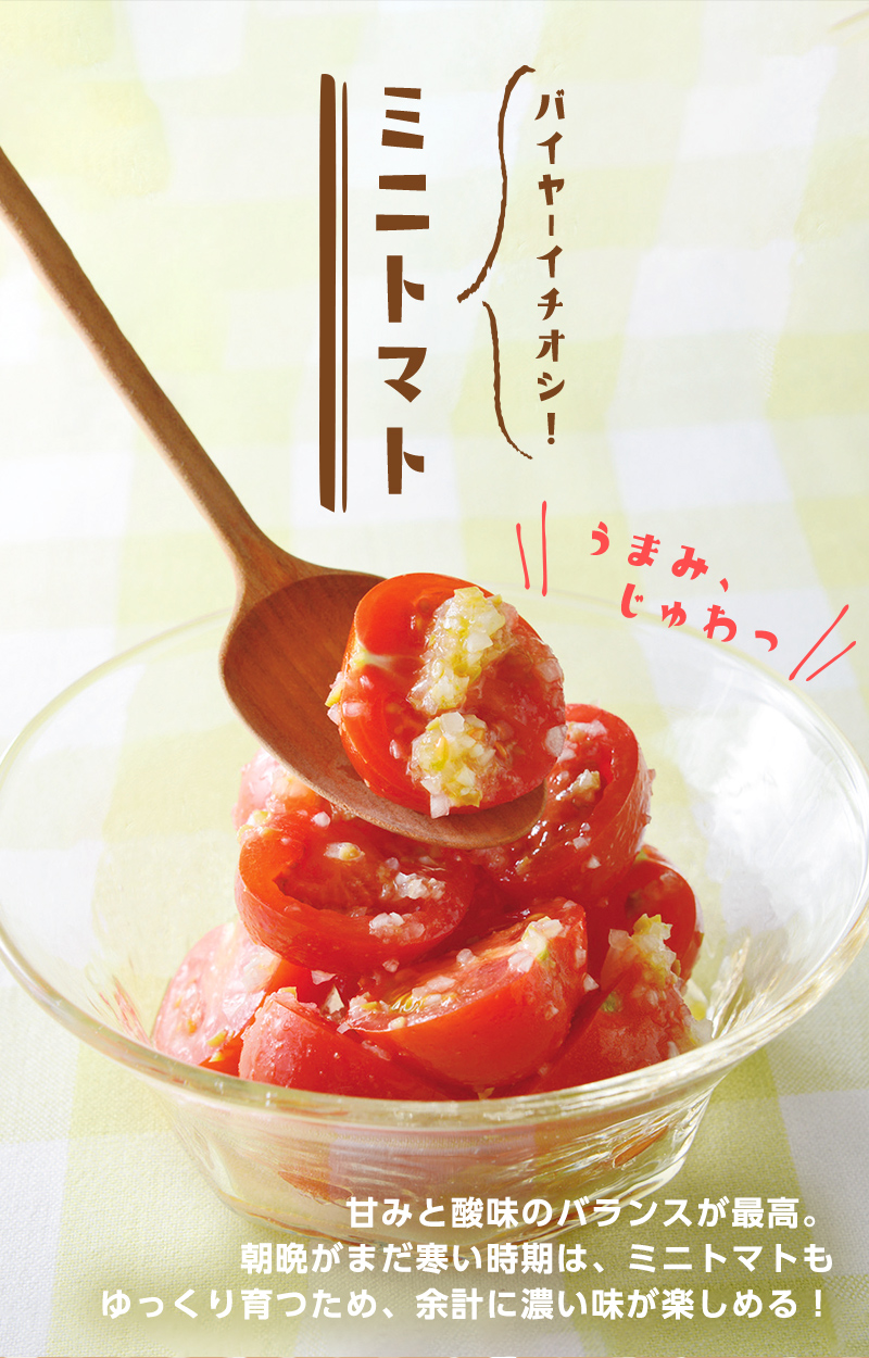 バイヤーイチオシ! ミニトマト