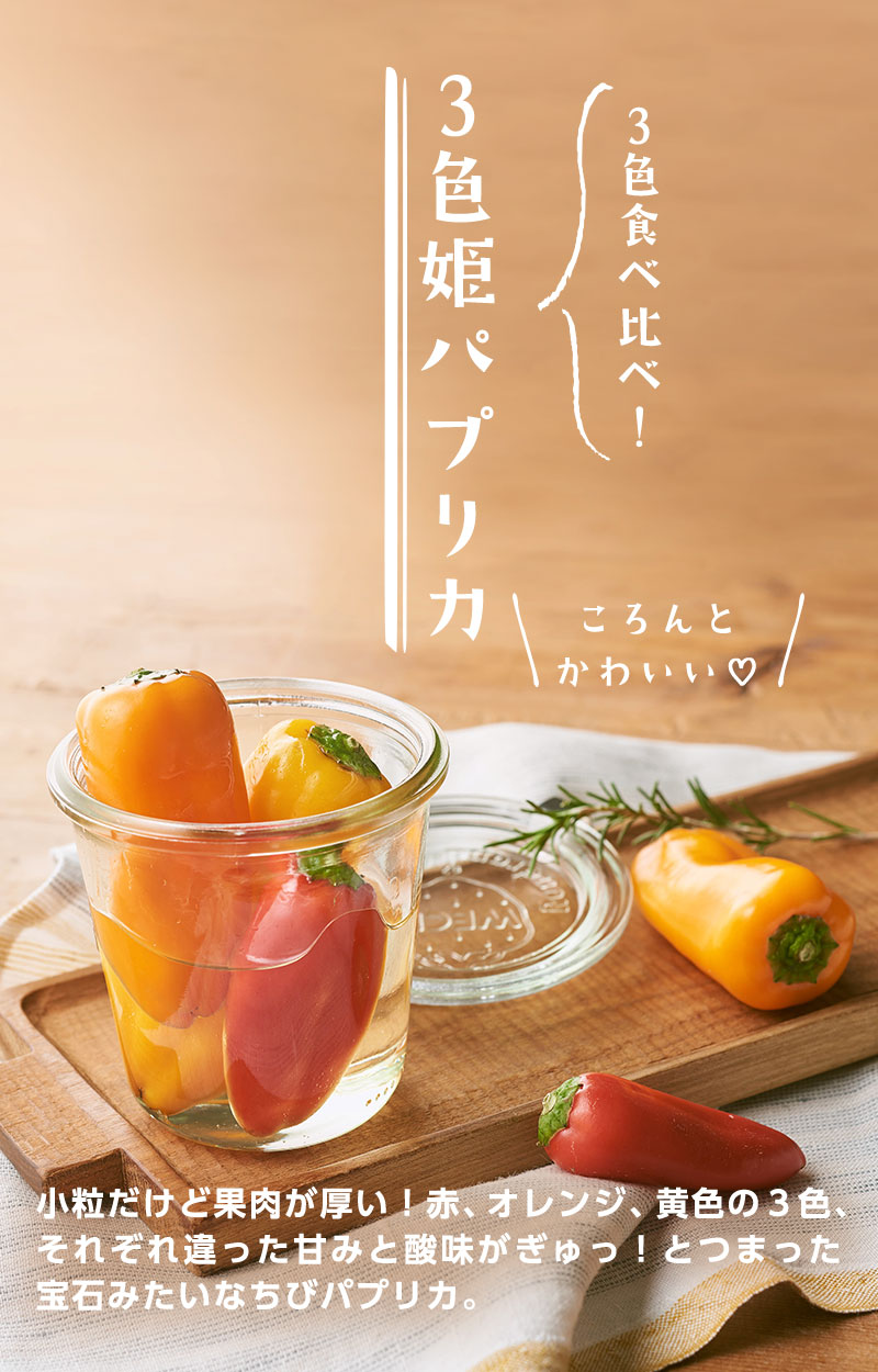 出会う はじめしての個性や野菜 3色食べ比べ 3色姫パプリカ