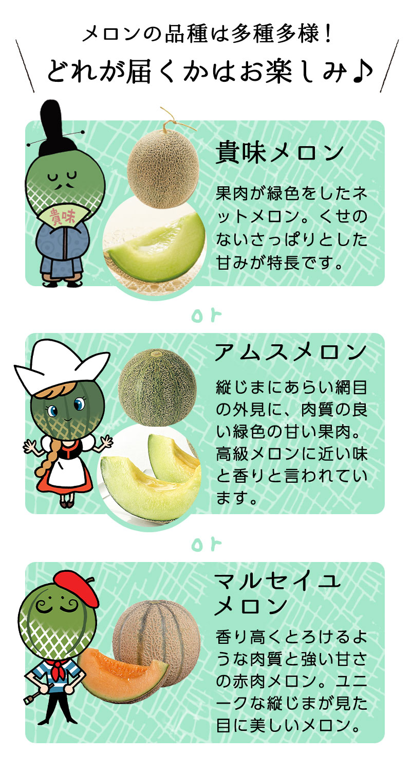 5月・6月はメロンの季節♪ 濃厚みずみずしい メロン