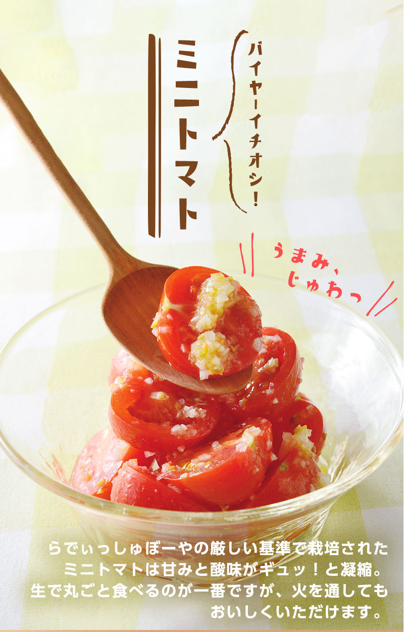 バイヤーイチオシ! ミニトマト