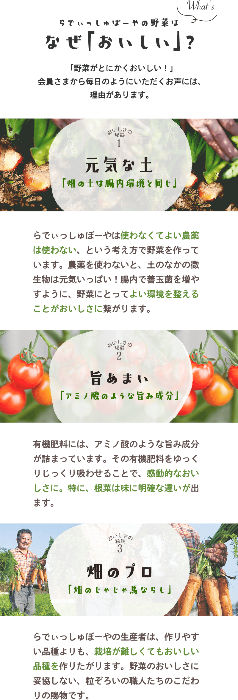 らでぃっしゅぼーやの野菜はなぜ「おいしい」?