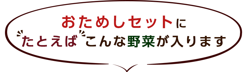 例えばこんな野菜が届きます!