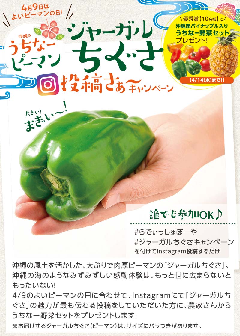 抽選10名 プレゼント Instagram投稿キャンペーン開催中