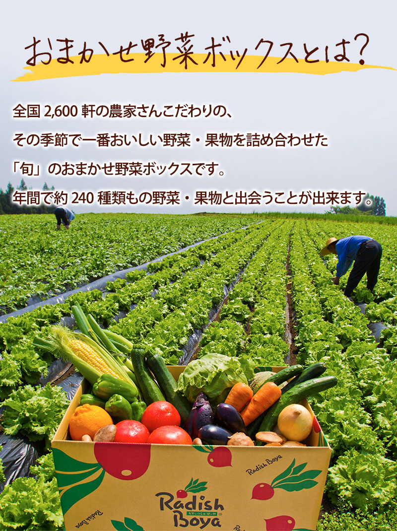 おまかせ野菜ボックスとは?