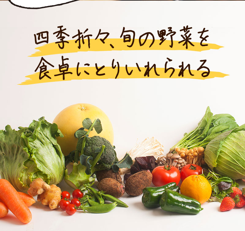 四季折々、旬の野菜を食卓にとりいれられる