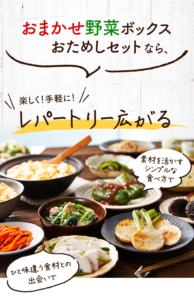 おまかせ野菜ボックスおためしセットなら楽しく!手軽に!レパートリー広がる