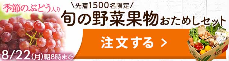 おまかせ野菜ボックス おためしセット