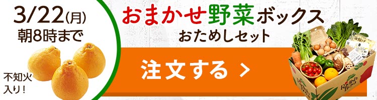 おまかせ野菜ボックス おためしセット