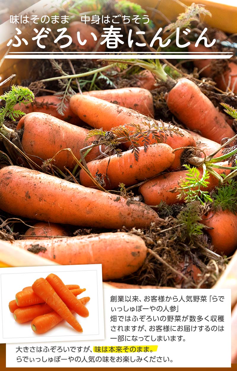 味はそのまま 中身はごちそう ふぞろい春にんじん