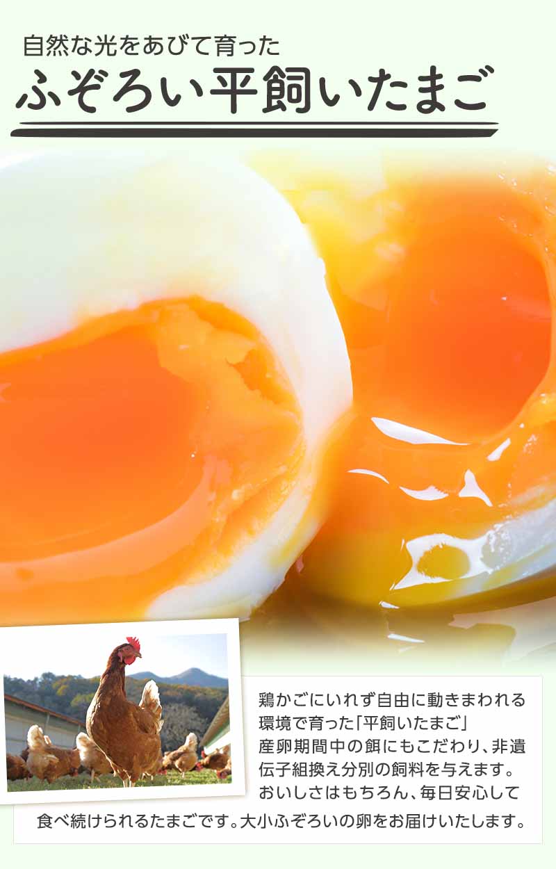 自然な光をあびて育った ふぞろい平飼いたまご