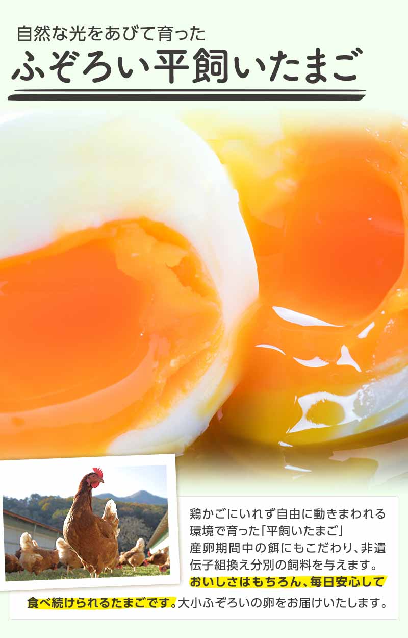 自然な光をあびて育った ふぞろい平飼いたまご