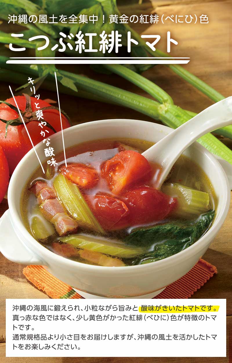 沖縄の風土を全集中!黄金の紅緋(べにひ)色 こつぶ紅緋トマト
