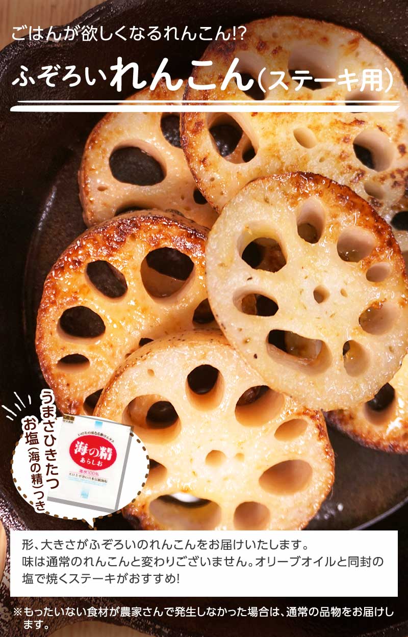 ごはんが欲しくなるれんこん?! ふぞろい れんこん(ステーキ用)