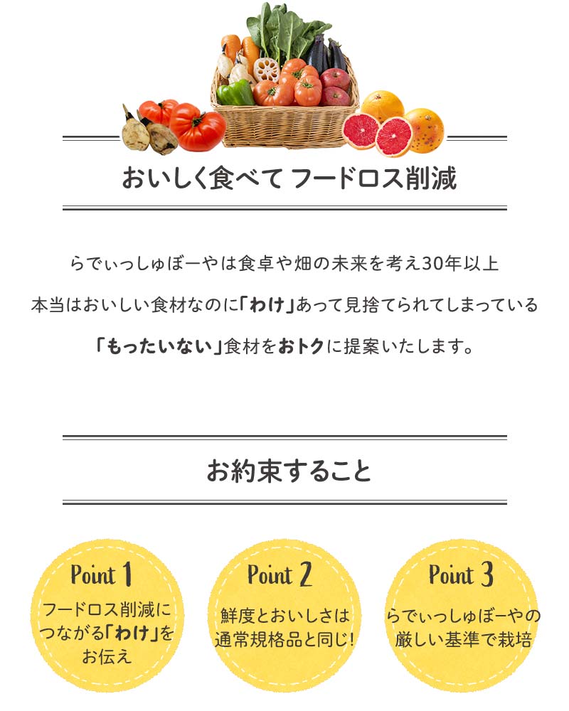 らでぃっしゅぼーやは食卓や畑のことを考え30年以上本当はおいしい食材のに「わけ」あって捨てられてしまっている「もったいない」食材をおトクに提案いたします。