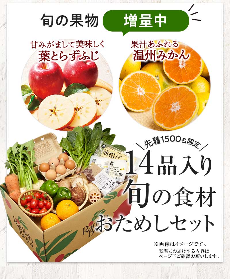 初回限定!おまかせ野菜ボックス おためしセット 期間限定12/6(月)朝8:00まで