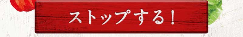 送料無料 金額返金保証 おまかせ野菜ボックス おためしセット 期間限定12/13(月)朝8:00まで