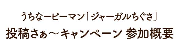 Instagram投稿キャンペーン 参加概要