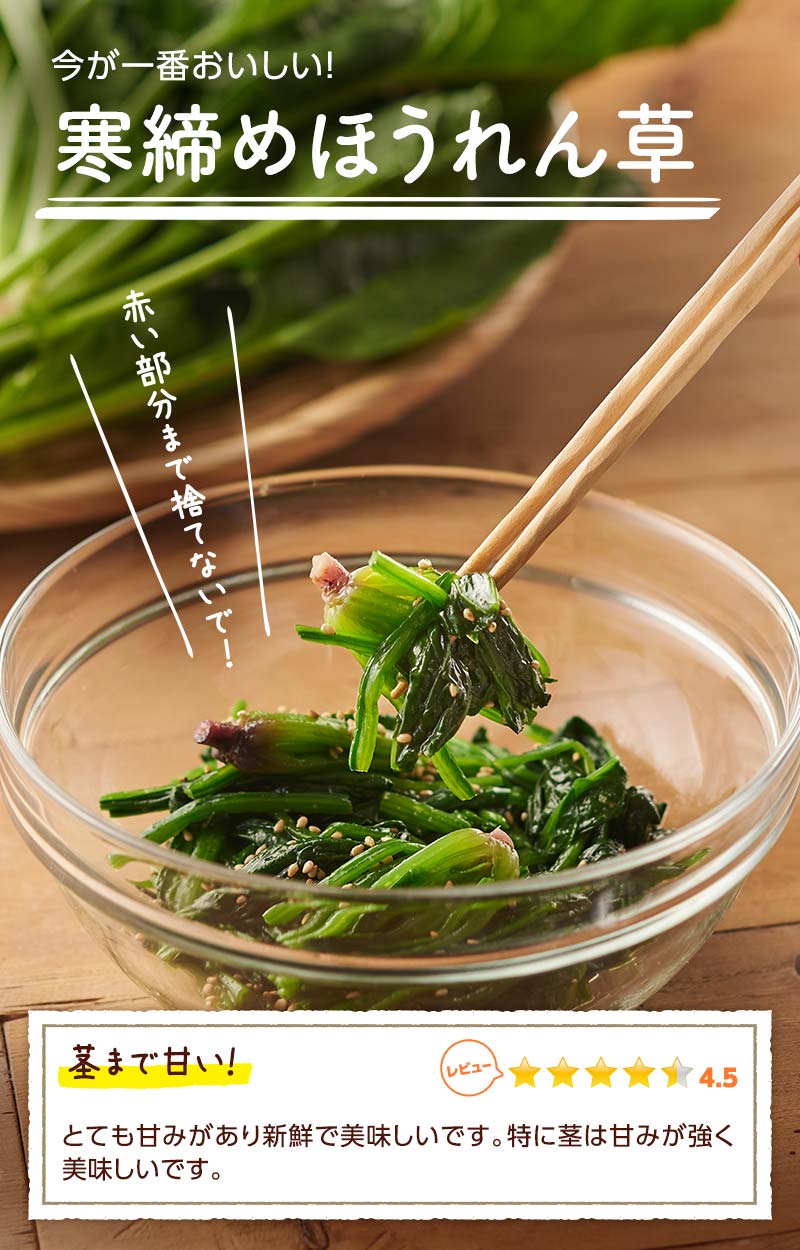 今が一番おいしい!根元まで甘いほうれん草