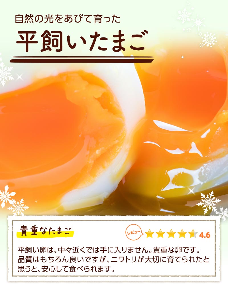 自然の光をあびて育った平飼いたまご