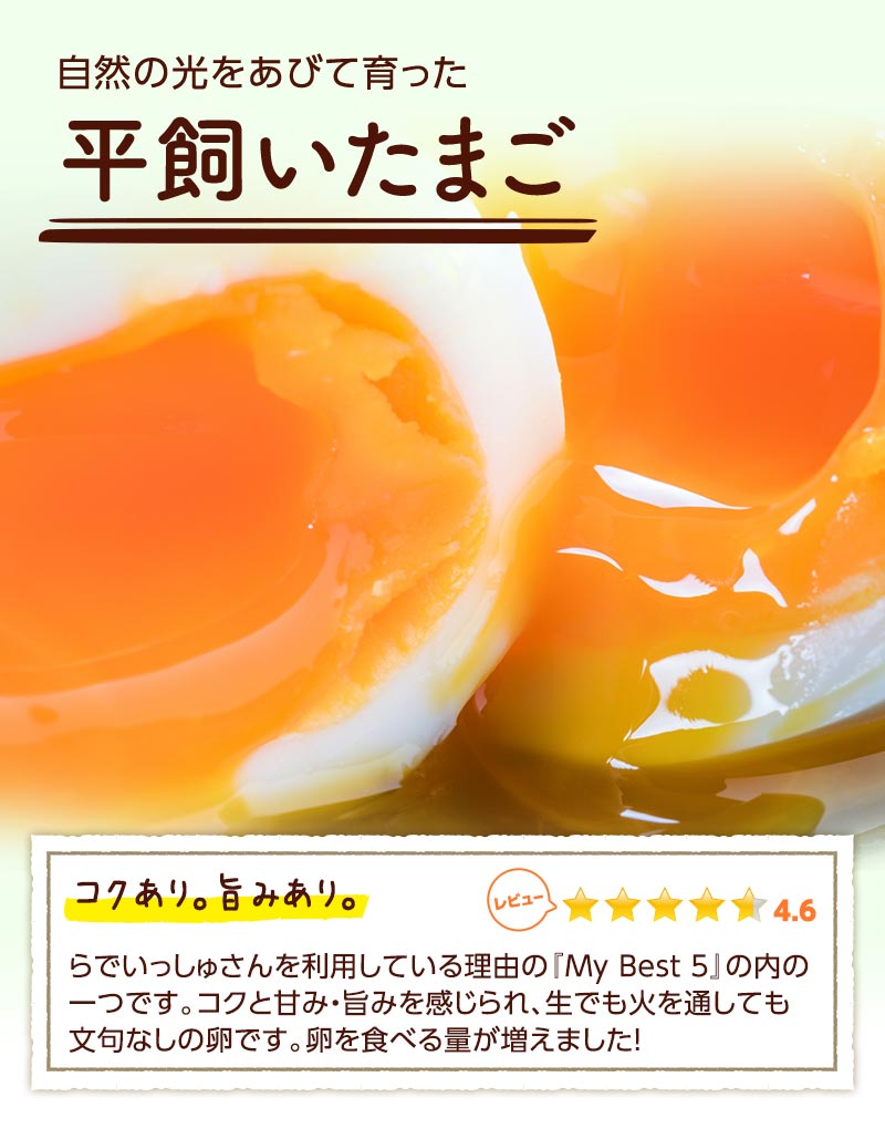 自然の光をあびて育った平飼いたまご