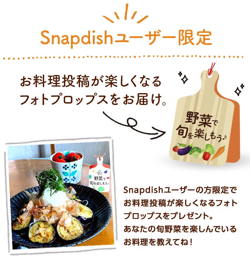 Snapdishユーザーの方限定!お料理投稿が楽しくなるフォトプロップスをお届け。