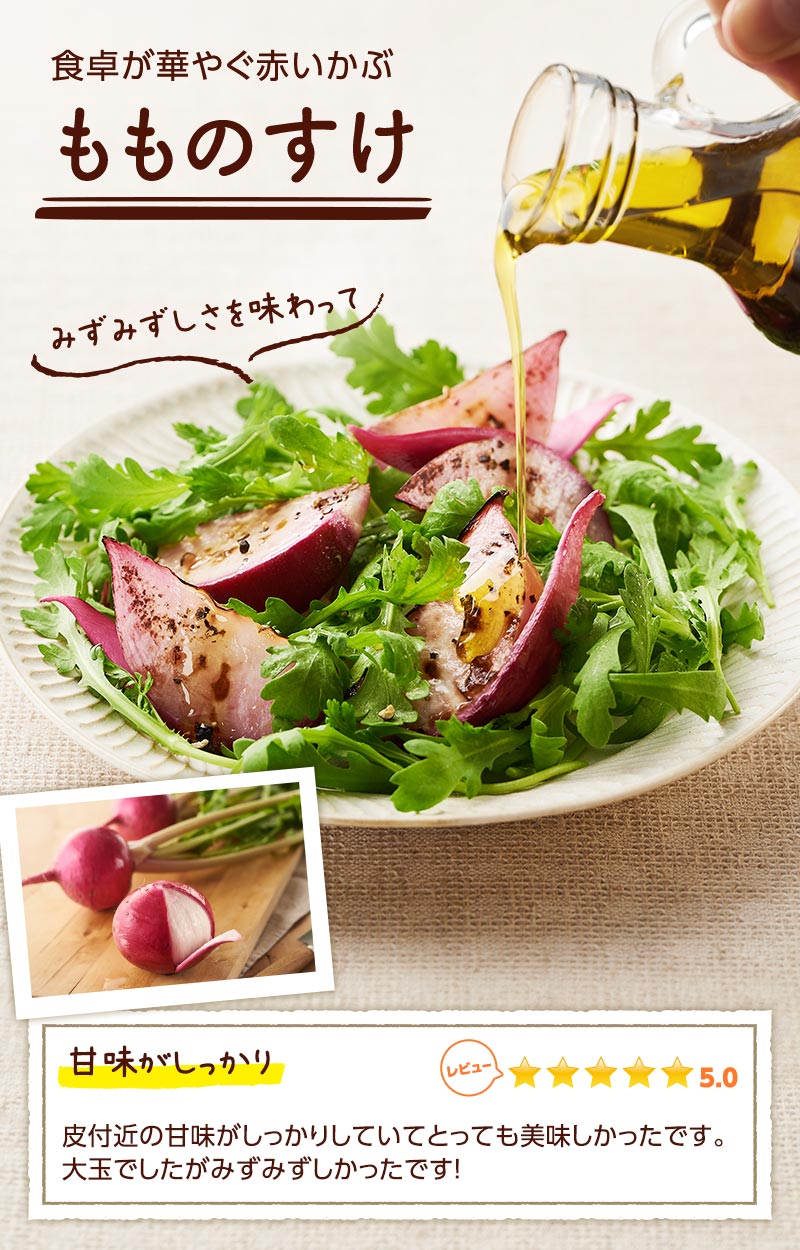 食卓が華やぐ赤いかぶ もものすけ