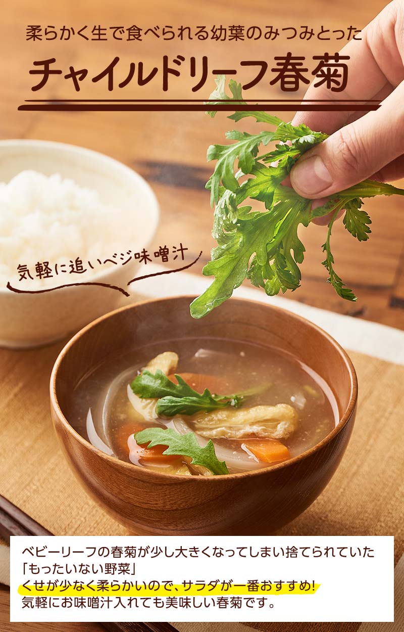 柔らかく生で食べられる幼葉のみつみとった チャイルドリーフ春菊