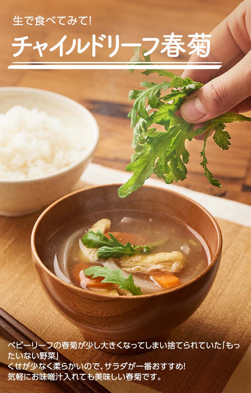 柔らかく生で食べられる幼葉のみつみとった チャイルドリーフ春菊