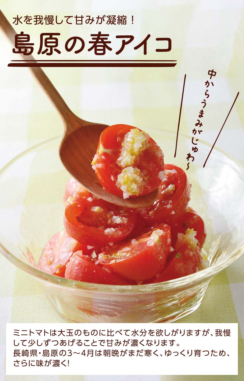 水を我慢して甘みが凝縮! 島原の春アイコ