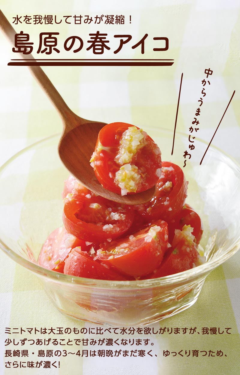 水を我慢して甘みが凝縮! 島原の春アイコ