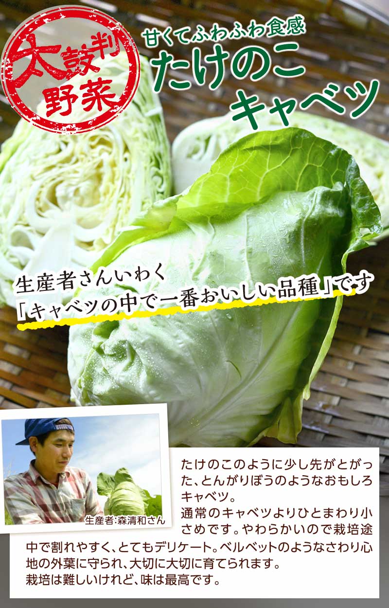 甘くてふわふわ食感 たけのこキャベツ