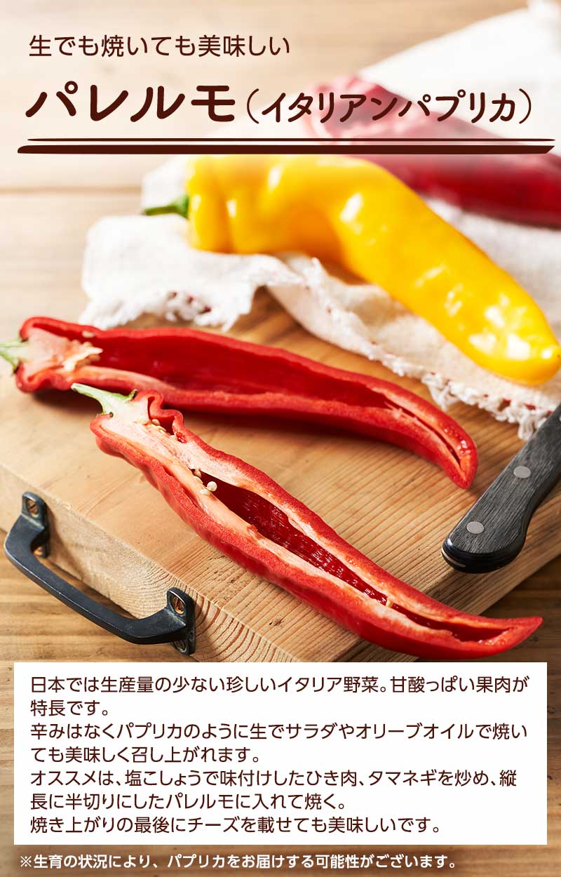 生でも焼いても美味しい パレルモ(イタリアンパプリカ)
