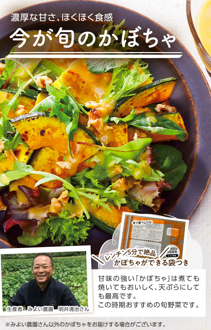 濃厚な甘さ、ほくほく食感 かぼちゃ