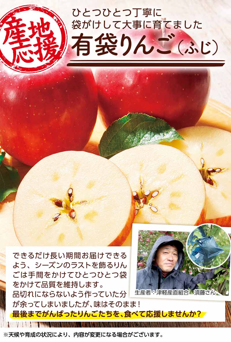 ひとつひとつ丁寧に袋がけして大事に育てました 有袋りんご(ふじ)