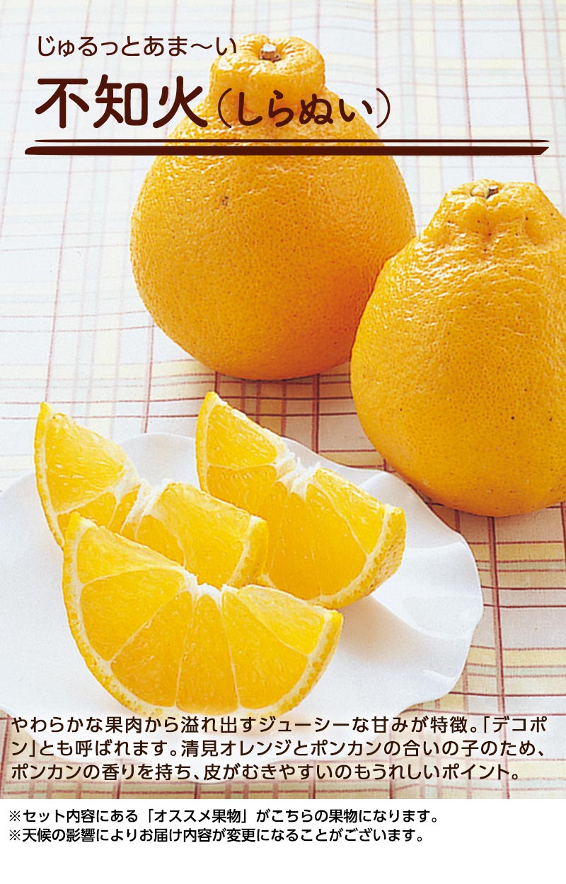 今だけ不知火付き!