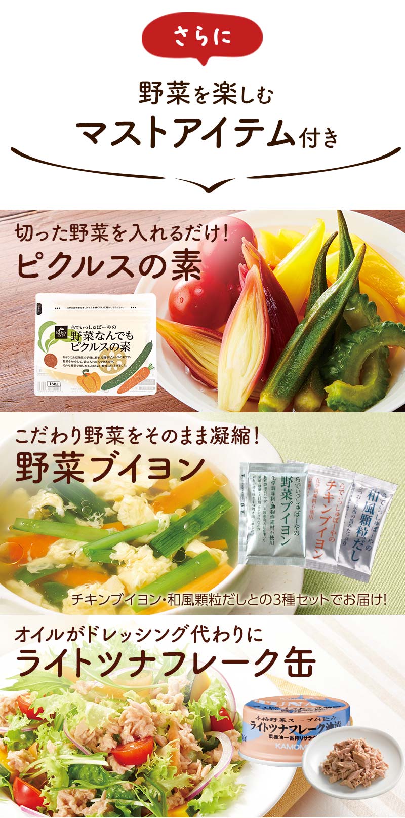 らでぃっしゅぼーや会員様がおすすめ野菜を楽しむマストアイテム付き