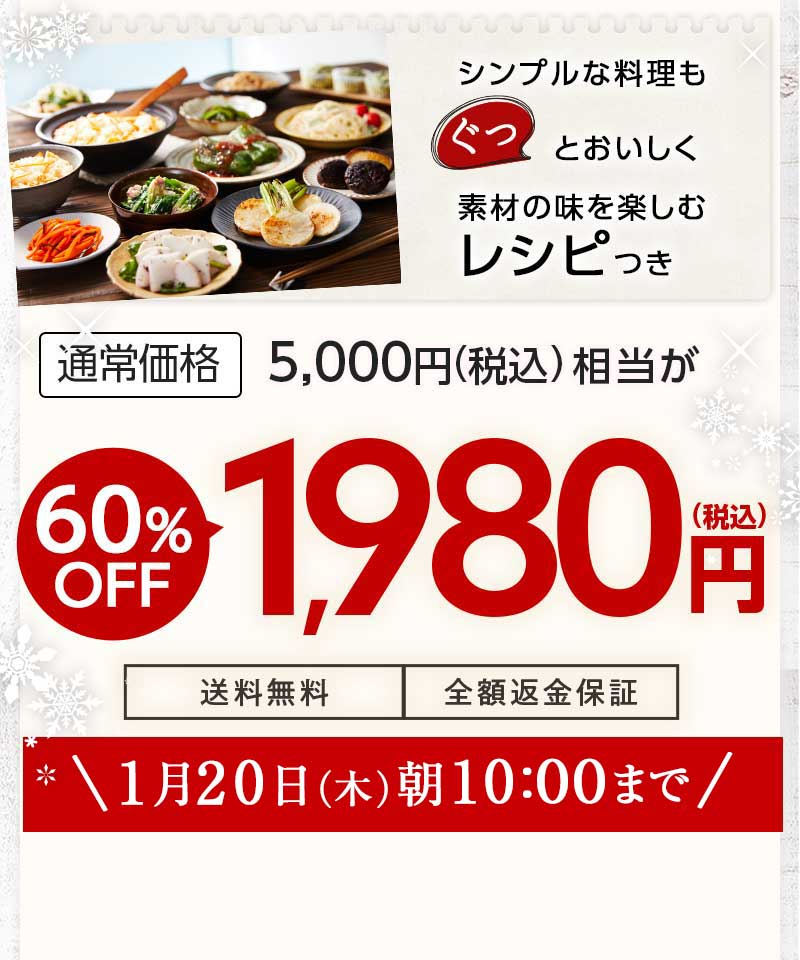送料無料 金額返金保証 おまかせ野菜ボックス おためしセット 1,980円(税込) 期間限定1/24(月)朝8:00まで