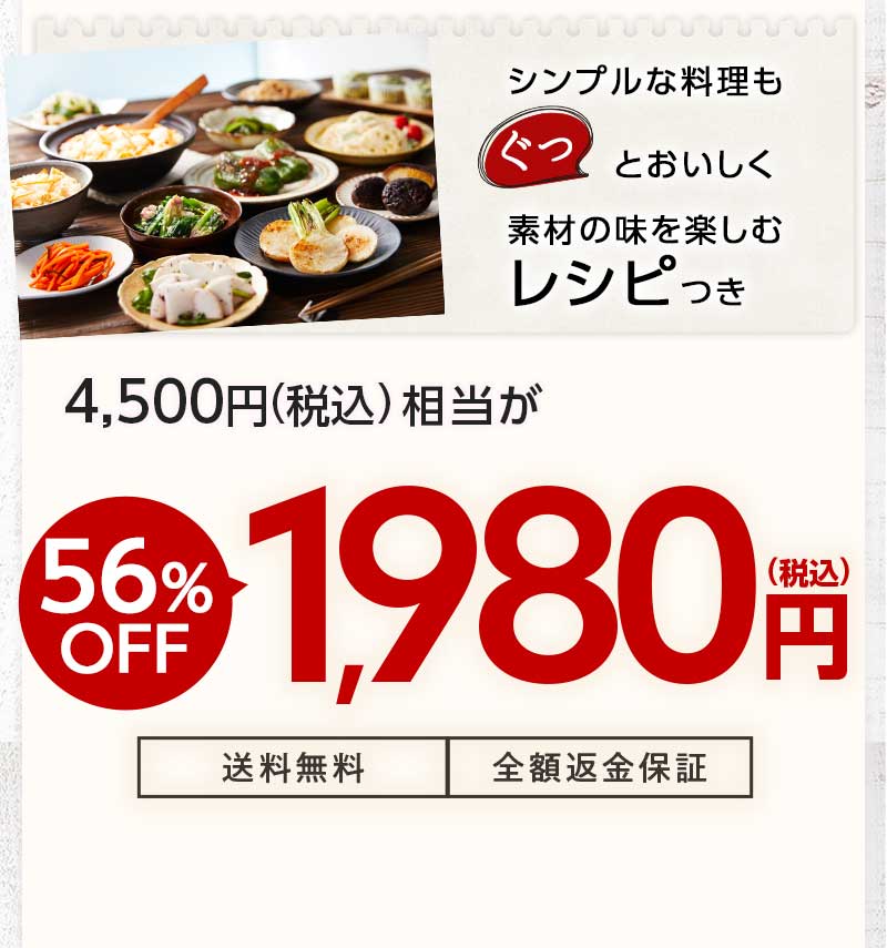 送料無料 金額返金保証 おまかせ野菜ボックス おためしセット 1,980円(税込) 期間限定5/30(月)朝8:00まで