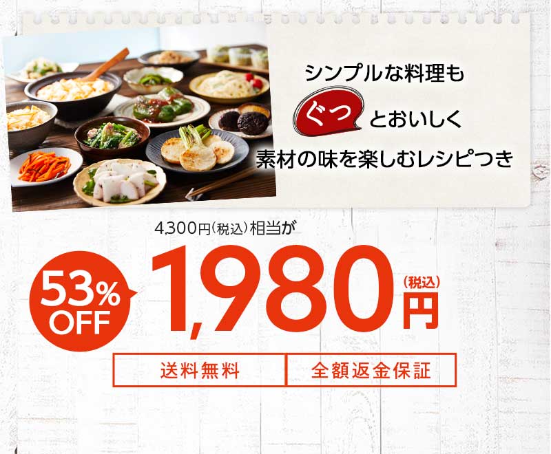 送料無料 金額返金保証 おまかせ野菜ボックス おためしセット 1,980円(税込) 期間限定6/21(月)朝8:00まで