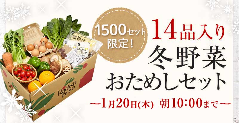 送料無料 金額返金保証 おまかせ野菜ボックス おためしセット 1,980円(税込) 期間限定1/24(月)朝8:00まで