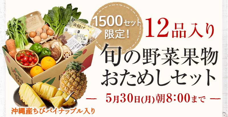 送料無料 金額返金保証 おまかせ野菜ボックス おためしセット 1,980円(税込) 期間限定5/30(月)朝8:00まで