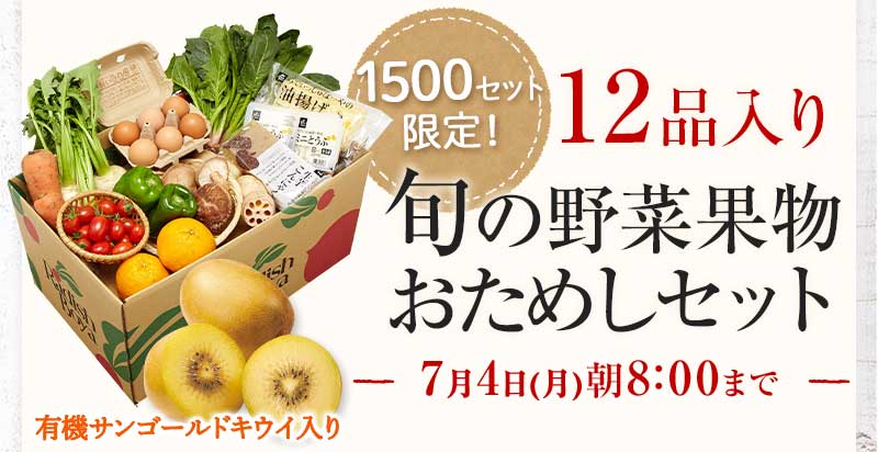 送料無料 金額返金保証 おまかせ野菜ボックス おためしセット 1,980円(税込) 期間限定7/4(月)朝8:00まで