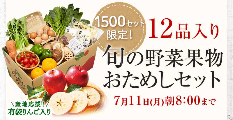 送料無料 金額返金保証 おまかせ野菜ボックス おためしセット 1,980円(税込) 期間限定7/11(月)朝8:00まで