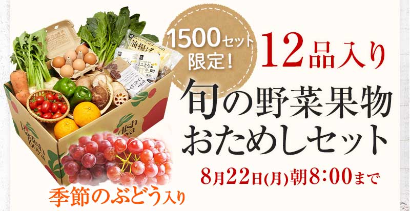 送料無料 金額返金保証 おまかせ野菜ボックス おためしセット 1,980円(税込) 期間限定8/22(月)朝8:00まで
