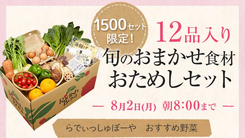 送料無料 金額返金保証 おまかせ野菜ボックス おためしセット 1,980円(税込) 期間限定8/2(月)朝8:00まで