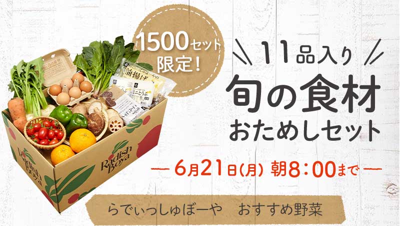 送料無料 金額返金保証 おまかせ野菜ボックス おためしセット 1,980円(税込) 期間限定6/21(月)朝8:00まで