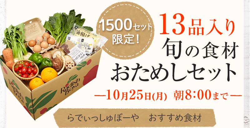 送料無料 金額返金保証 おまかせ野菜ボックス おためしセット 1,980円(税込) 期間限定10/25(月)朝8:00まで