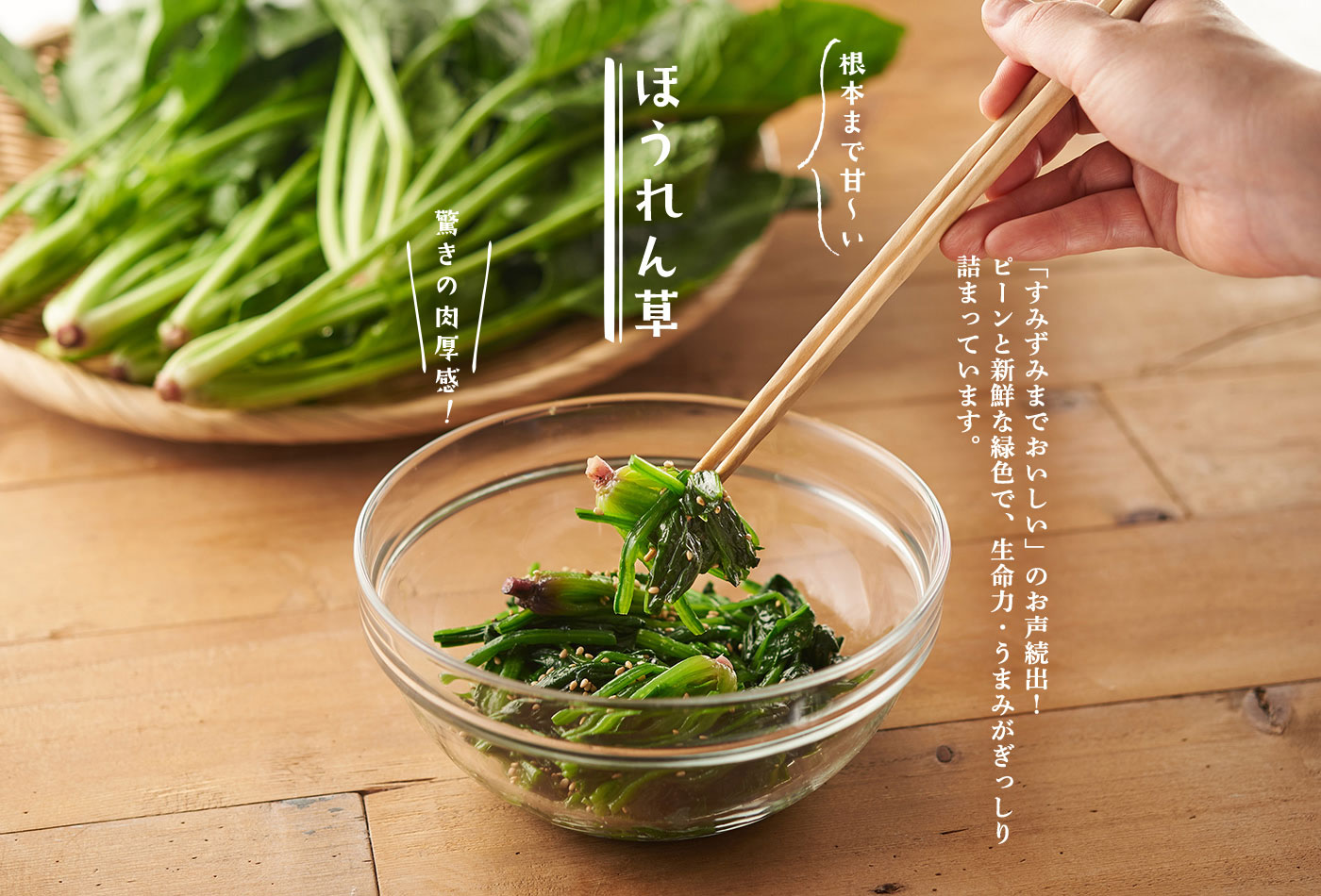 根本まで甘~い ほうれん草