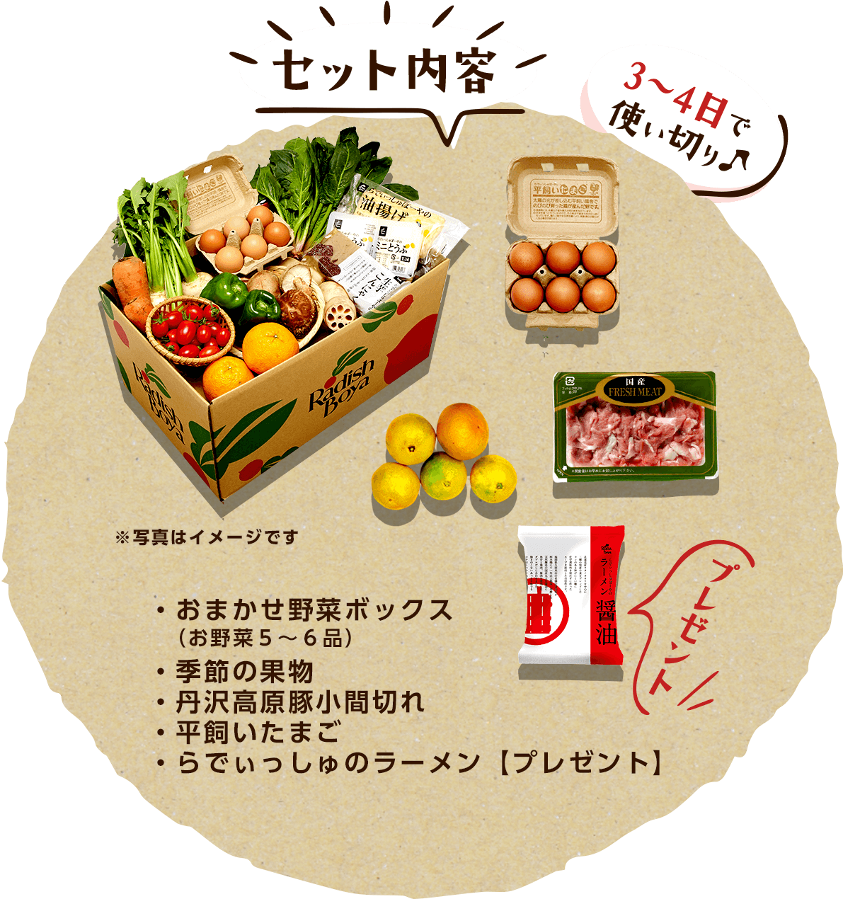 3~4日で使い切り♪セット内容