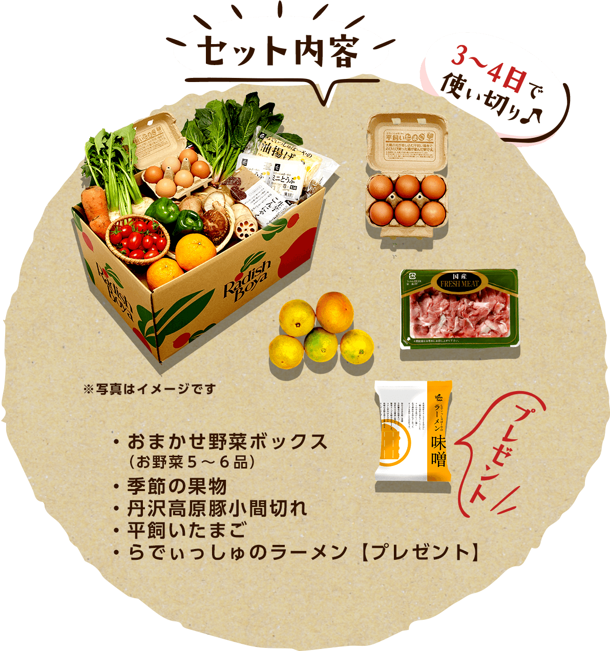 3~4日で使い切り♪セット内容